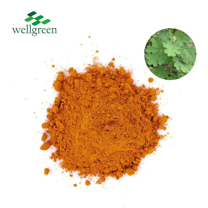 Macleaya Cordata Extract